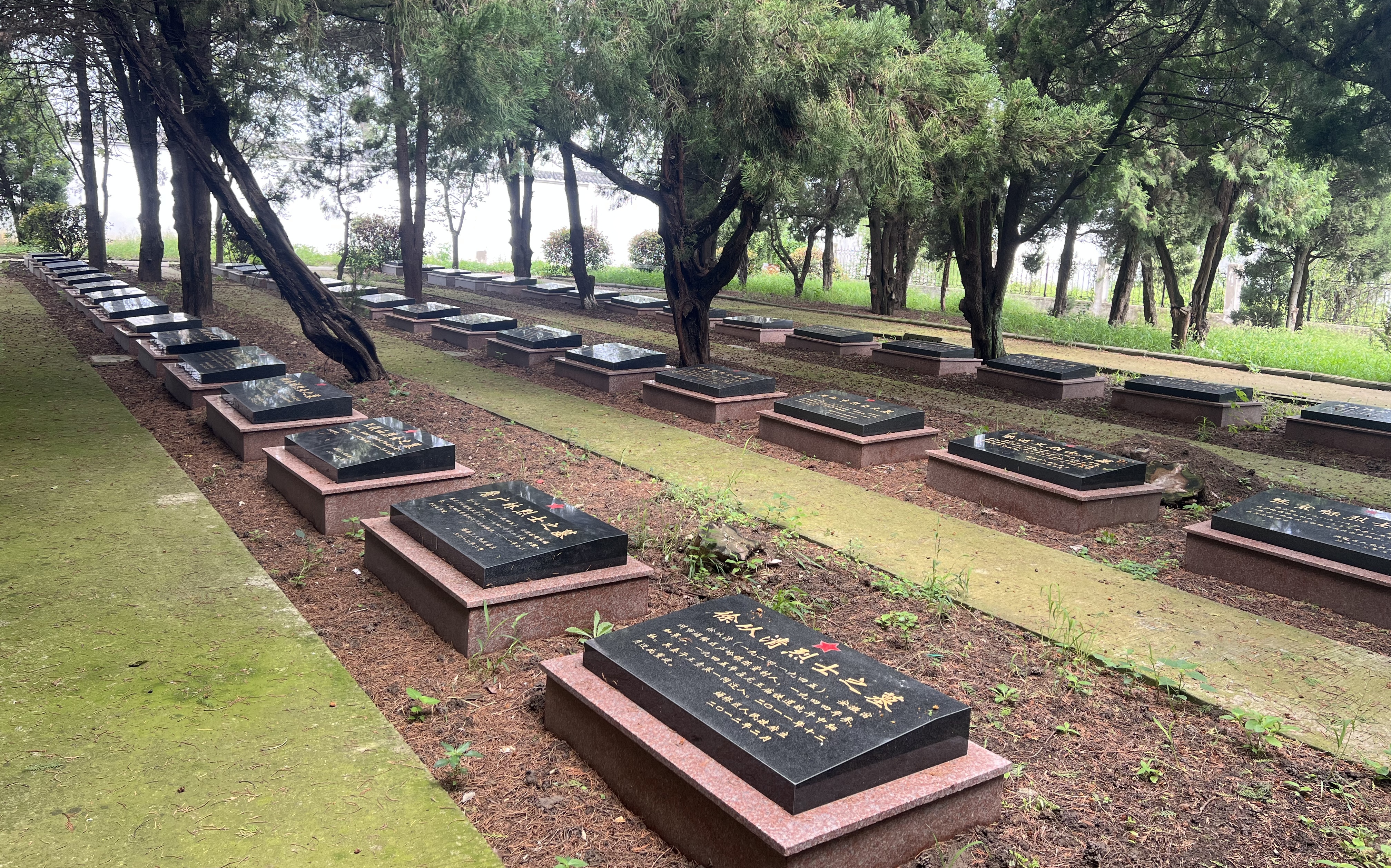 һ�Z�����������˟o�����o(h��)