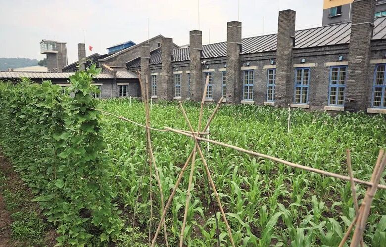 �����(zh��n)���� һ��(ch��ng)ʷ�o(w��)ǰ���ġ��`��֮��(zh��n)�������V�ձ���(zh��n)���؄e��(b��o)����