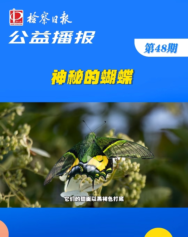 ���沥��(b��o)�����صĺ���