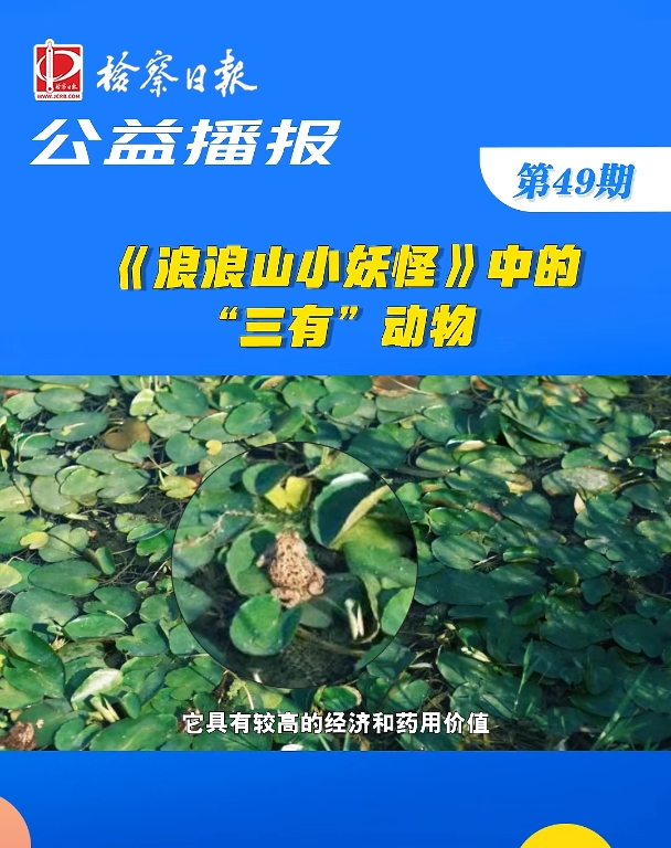 ���沥��(b��o)��������ɽС���֡��еġ����С���(d��ng)��