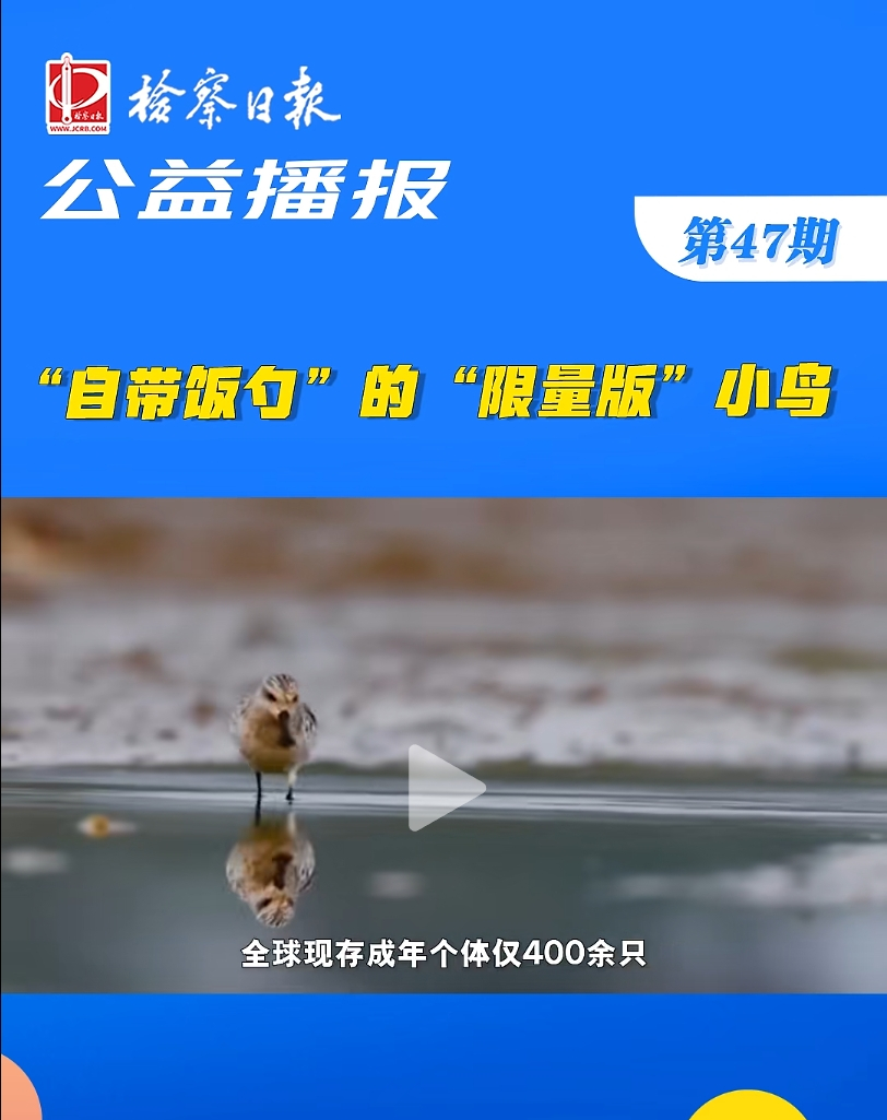 ���沥��(b��o)�����Ԏ���ס��ġ������桱С�B