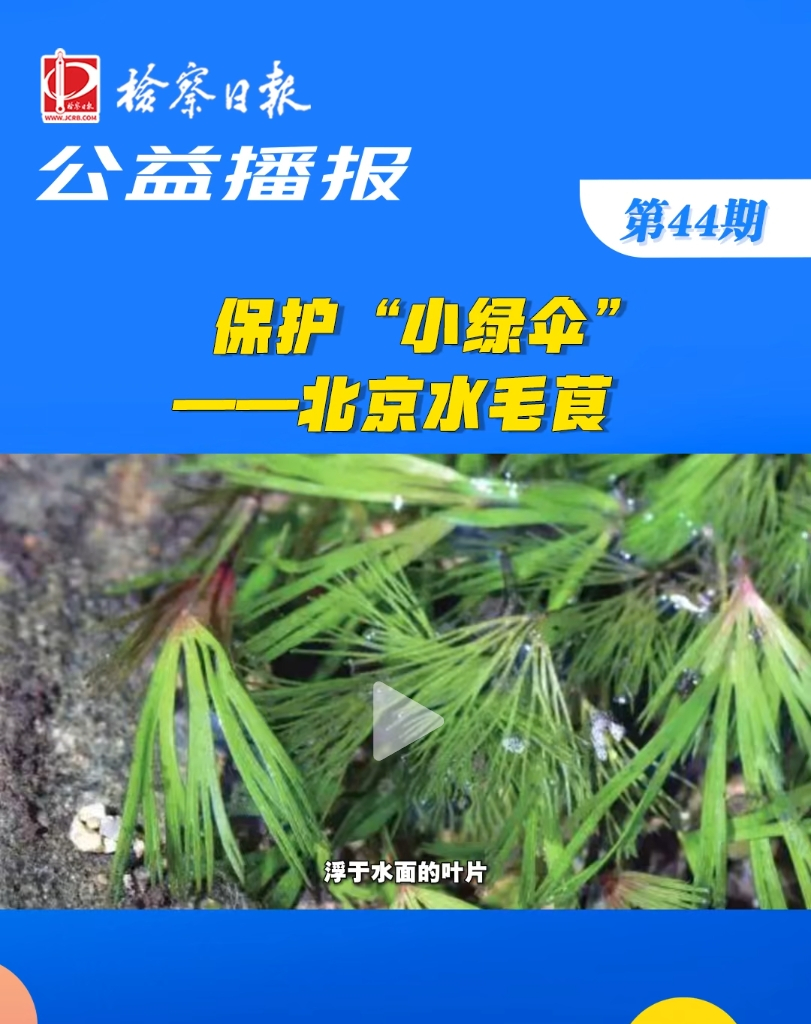 ���沥��(b��o)�����o(h��)��С�G�㡱��������ˮëݢ