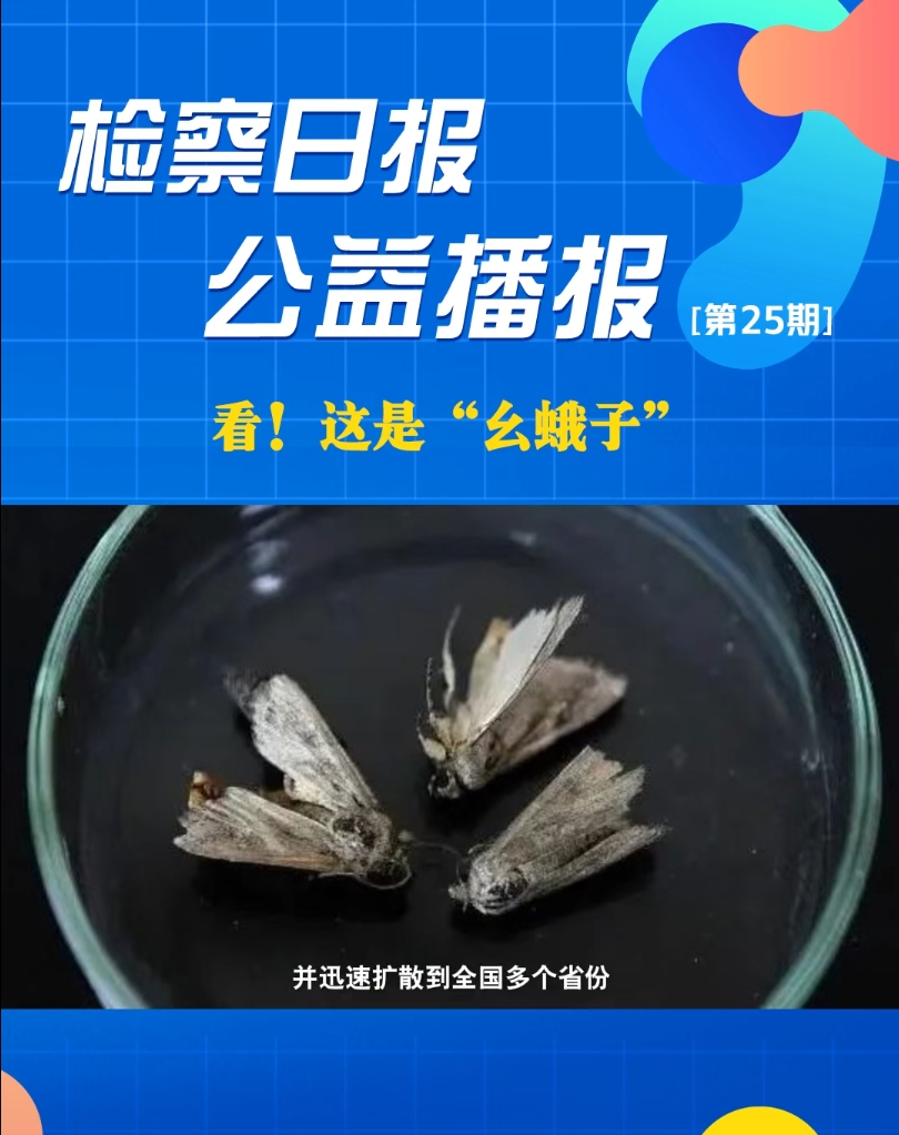 ���沥��(b��o)�������@�ǡ��۶��ӡ�