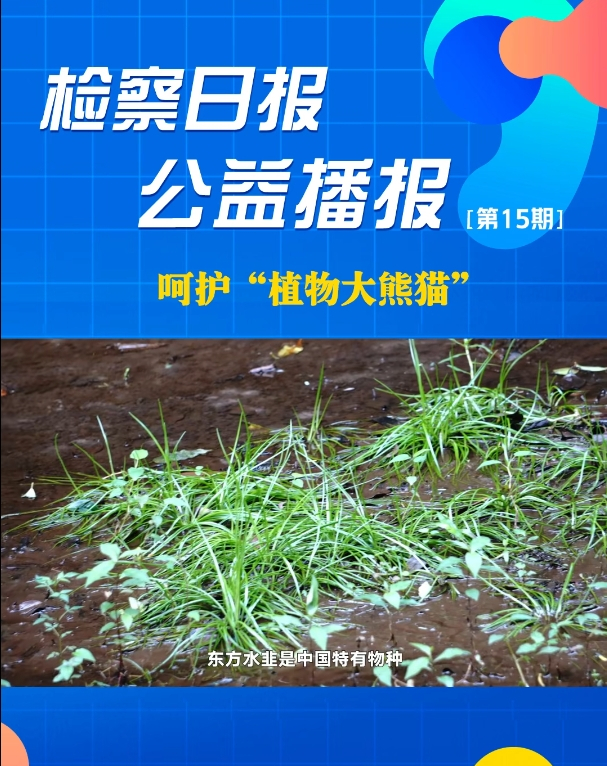 ���沥��(b��o)�����o(h��)��ֲ�����؈��