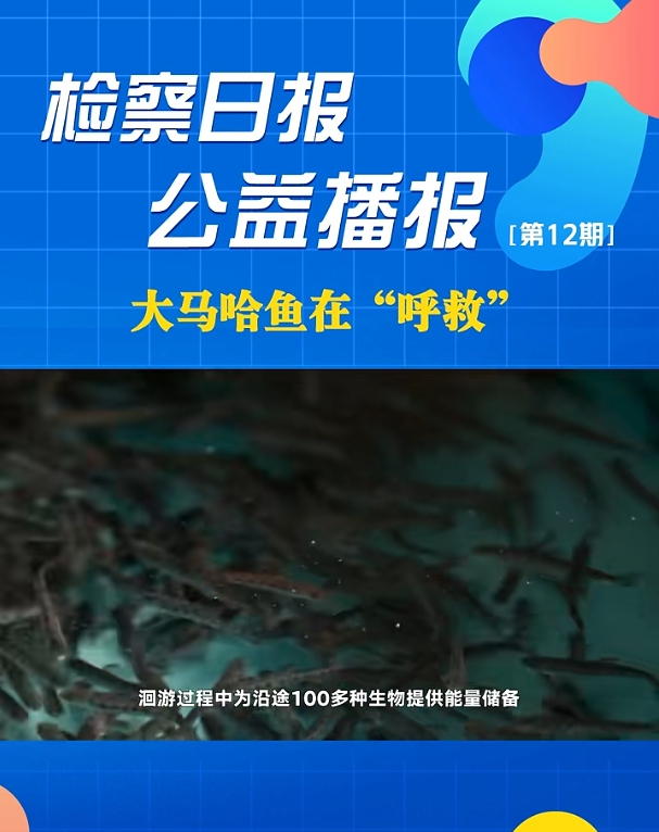 ���沥��(b��o)�����R���~�ڡ����ȡ�