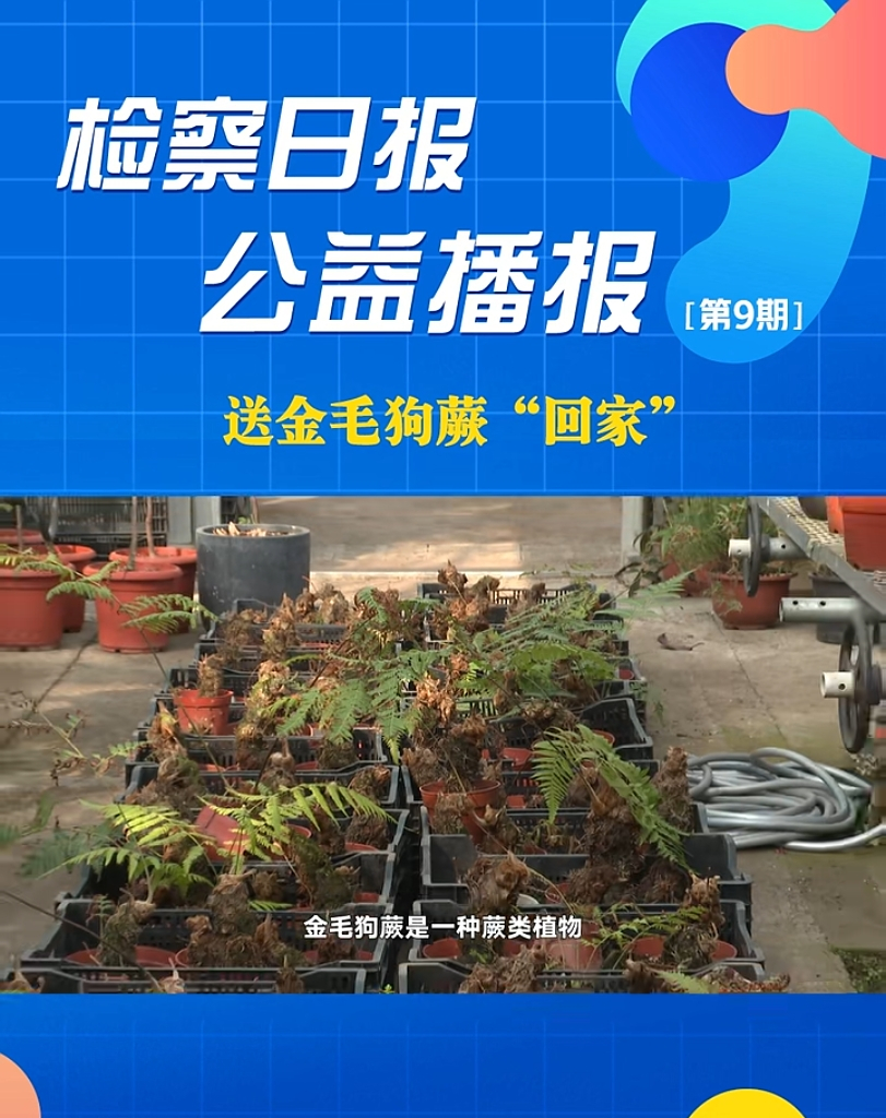 ���沥��(b��o)���ͽ�ë��ާ���ؼҡ�