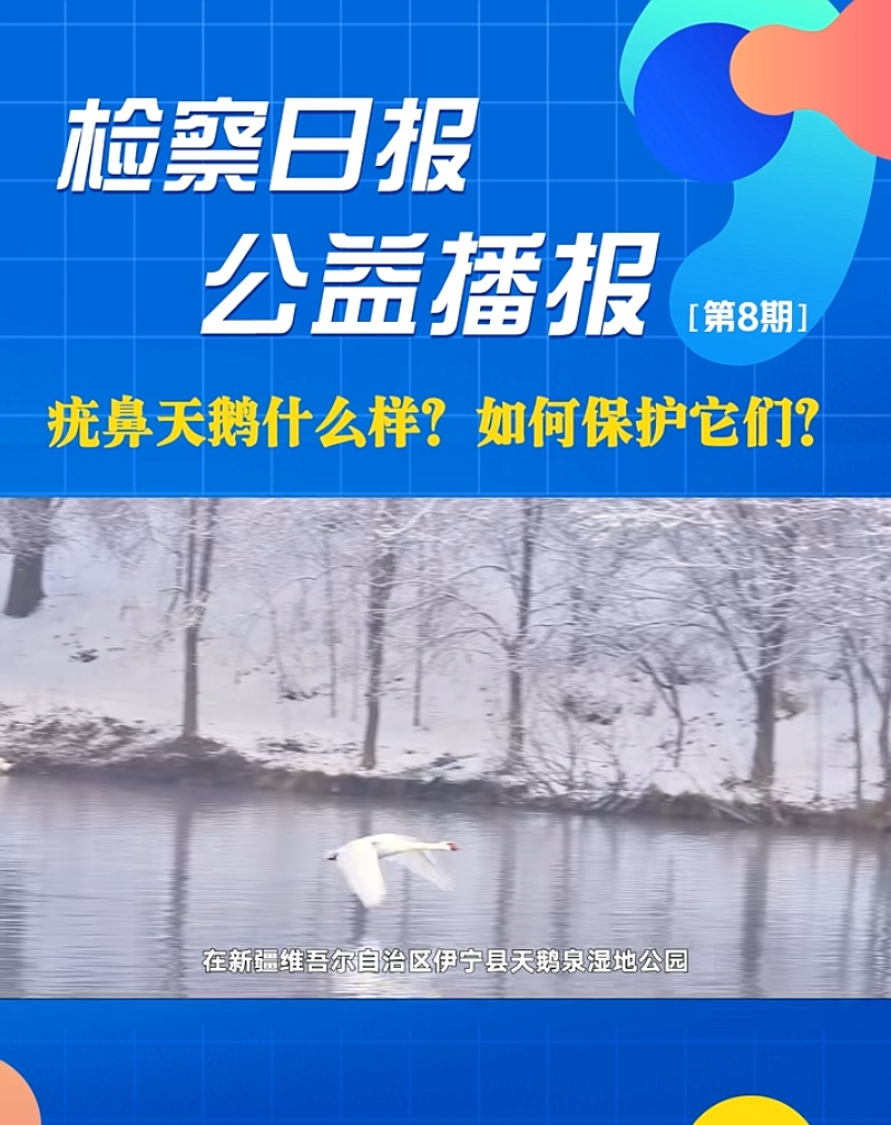 ���沥��(b��o)��������Zʲô������α��o(h��)��