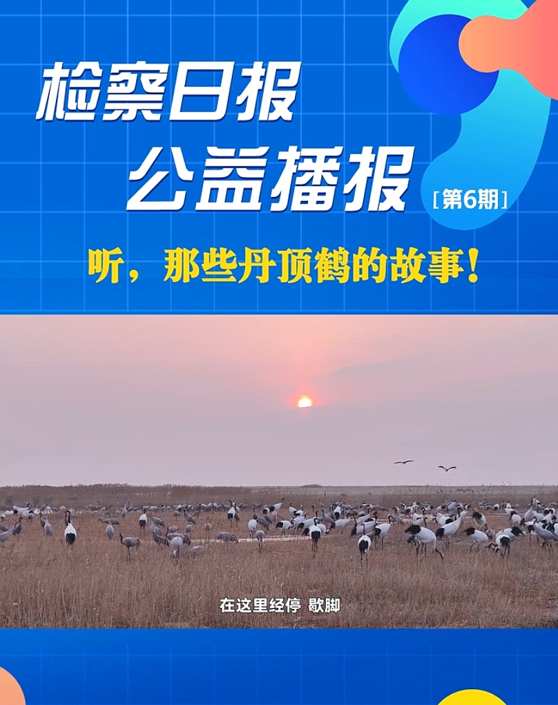 ���沥��(b��o)�� ����Щ����Q�Ĺ�����