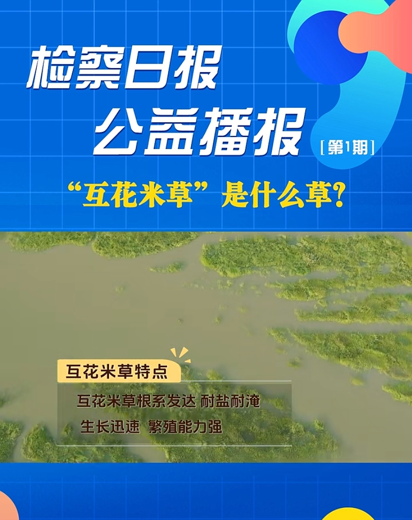 ���沥��(b��o)���������ײݡ���ʲô����