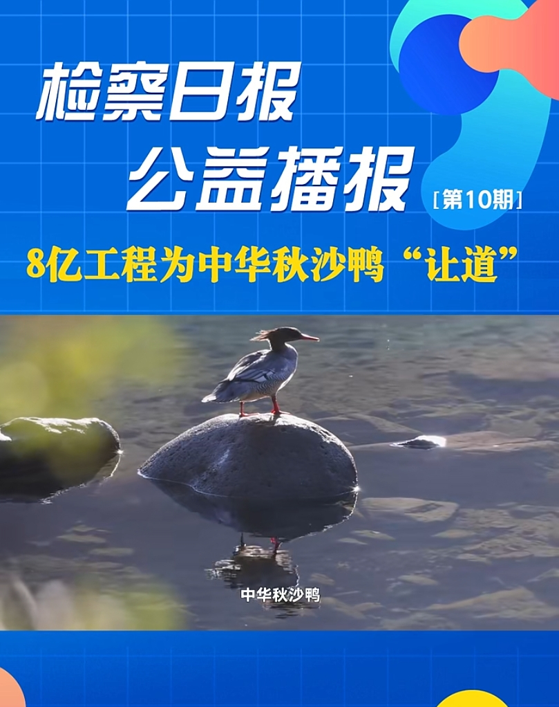 ���沥��(b��o)��8�|���̞����A��ɳ����׌����